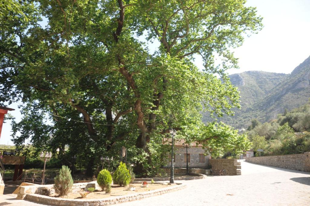 Villa Iris Mystras Exterior photo